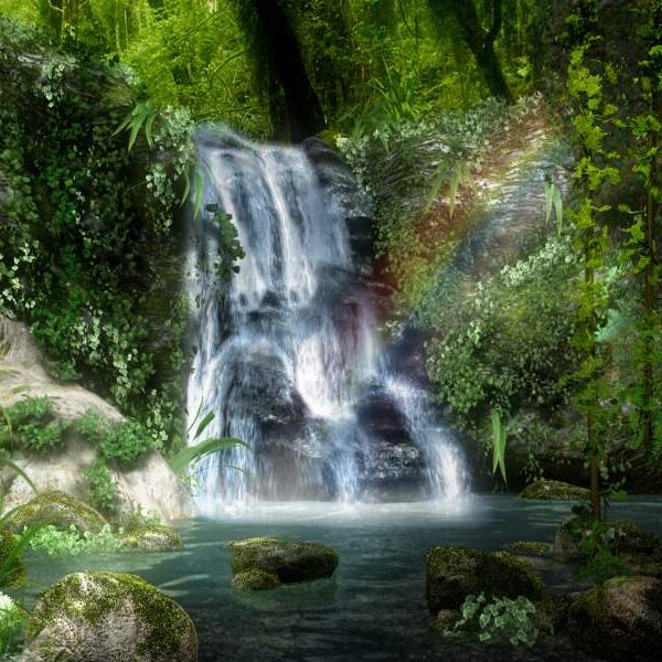 A waterfall in the middle of a forest.